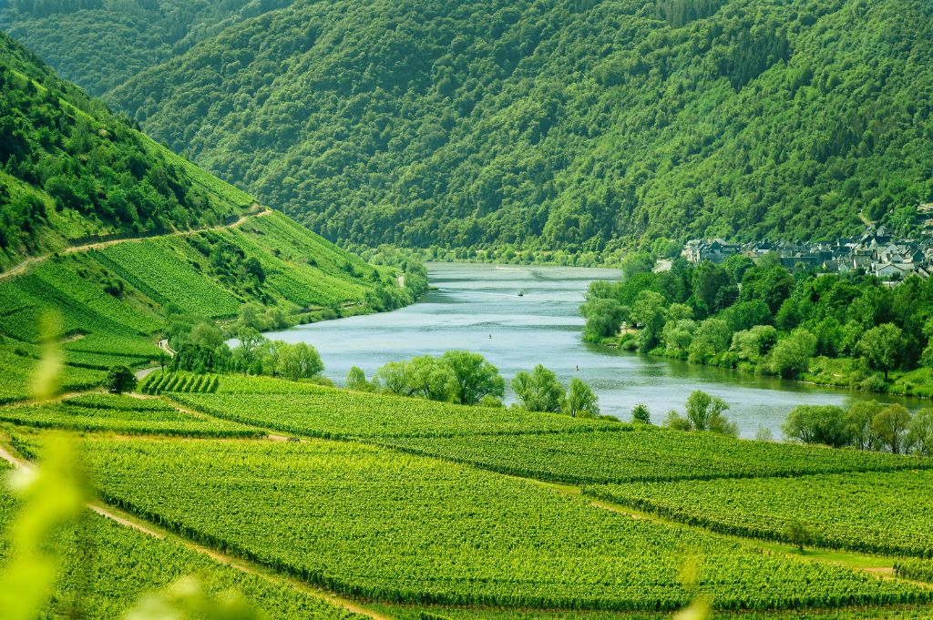 Sustainable Background